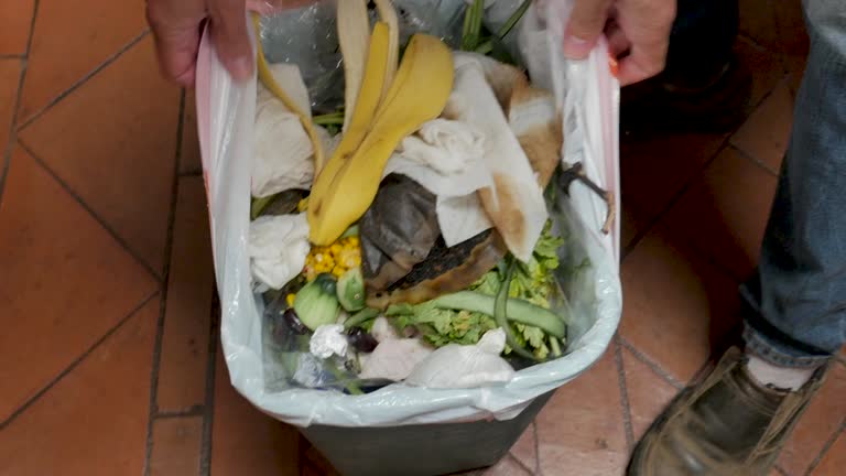 Best Carpet Removal and Disposal  in Prien, LA